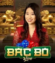 Live 4